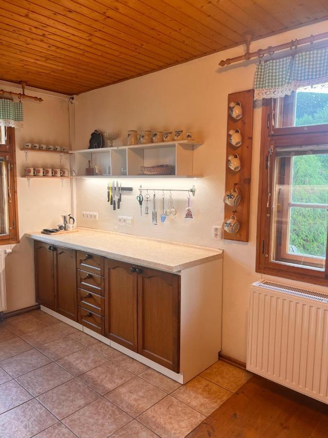 Roubenka Jeseniky Villa Bridlicna Kültér fotó